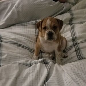 Meet your Posher, Joanna